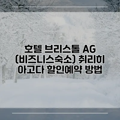 호텔 브리스톨 AG (비즈니스숙소) 취리히 아고다 할인예약 방법