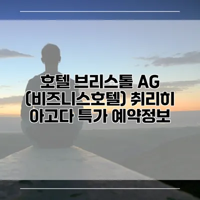 호텔 브리스톨 AG (비즈니스호텔) 취리히 아고다 특가 예약정보