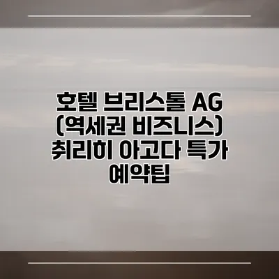 호텔 브리스톨 AG (역세권 비즈니스) 취리히 아고다 특가 예약팁