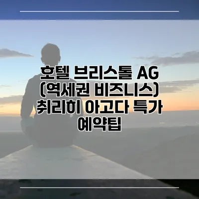 호텔 브리스톨 AG (역세권 비즈니스) 취리히 아고다 특가 예약팁