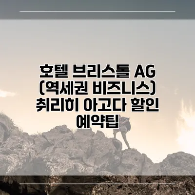 호텔 브리스톨 AG (역세권 비즈니스) 취리히 아고다 할인 예약팁