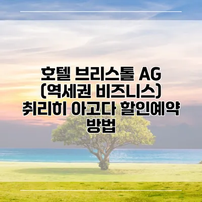 호텔 브리스톨 AG (역세권 비즈니스) 취리히 아고다 할인예약 방법