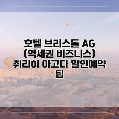 호텔 브리스톨 AG (역세권 비즈니스) 취리히 아고다 할인예약 팁