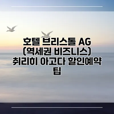 호텔 브리스톨 AG (역세권 비즈니스) 취리히 아고다 할인예약 팁