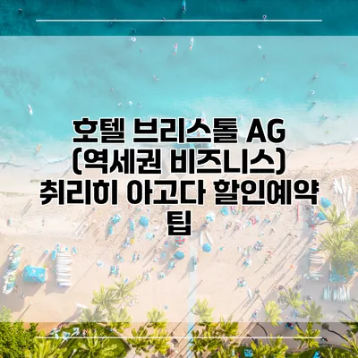 호텔 브리스톨 AG (역세권 비즈니스) 취리히 아고다 할인예약 팁