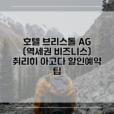 호텔 브리스톨 AG (역세권 비즈니스) 취리히 아고다 할인예약 팁
