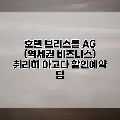 호텔 브리스톨 AG (역세권 비즈니스) 취리히 아고다 할인예약 팁