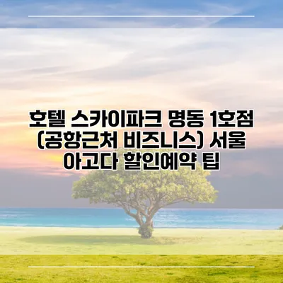호텔 스카이파크 명동 1호점 (공항근처 비즈니스) 서울 아고다 할인예약 팁