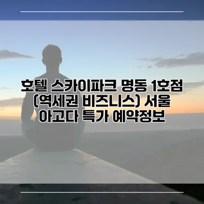 호텔 스카이파크 명동 1호점 (역세권 비즈니스) 서울 아고다 특가 예약정보