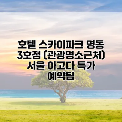 호텔 스카이파크 명동 3호점 (관광명소근처) 서울 아고다 특가 예약팁