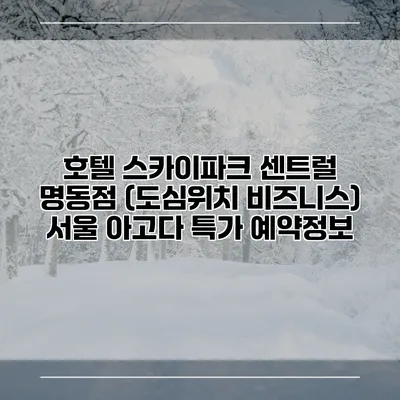 호텔 스카이파크 센트럴 명동점 (도심위치 비즈니스) 서울 아고다 특가 예약정보