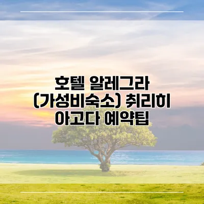 호텔 알레그라 (가성비숙소) 취리히 아고다 예약팁