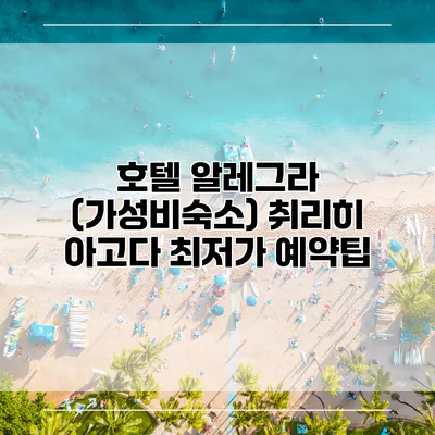 호텔 알레그라 (가성비숙소) 취리히 아고다 최저가 예약팁