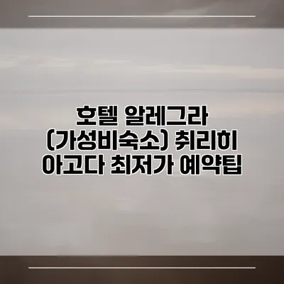 호텔 알레그라 (가성비숙소) 취리히 아고다 최저가 예약팁