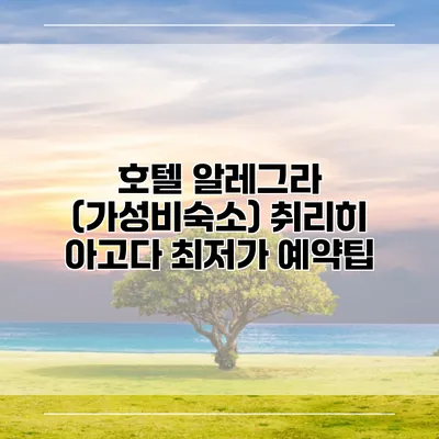 호텔 알레그라 (가성비숙소) 취리히 아고다 최저가 예약팁