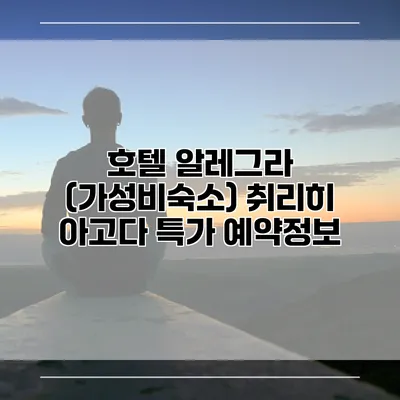 호텔 알레그라 (가성비숙소) 취리히 아고다 특가 예약정보
