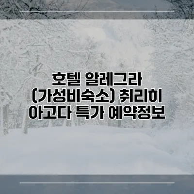 호텔 알레그라 (가성비숙소) 취리히 아고다 특가 예약정보