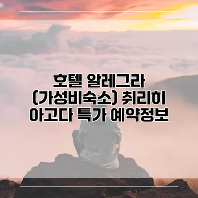 호텔 알레그라 (가성비숙소) 취리히 아고다 특가 예약정보