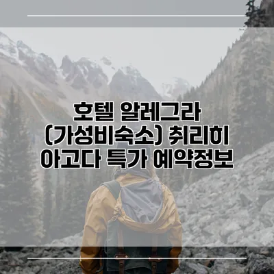 호텔 알레그라 (가성비숙소) 취리히 아고다 특가 예약정보