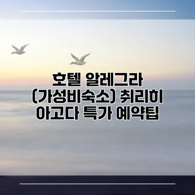 호텔 알레그라 (가성비숙소) 취리히 아고다 특가 예약팁