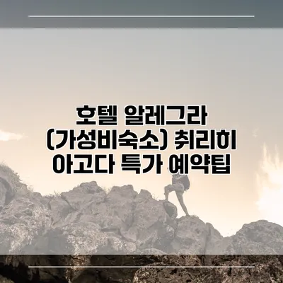 호텔 알레그라 (가성비숙소) 취리히 아고다 특가 예약팁