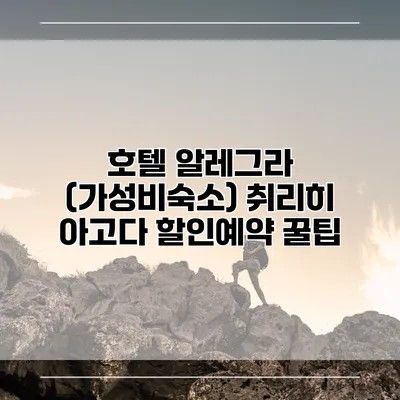 호텔 알레그라 (가성비숙소) 취리히 아고다 할인예약 꿀팁