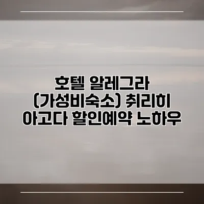 호텔 알레그라 (가성비숙소) 취리히 아고다 할인예약 노하우