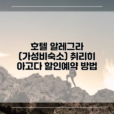 호텔 알레그라 (가성비숙소) 취리히 아고다 할인예약 방법