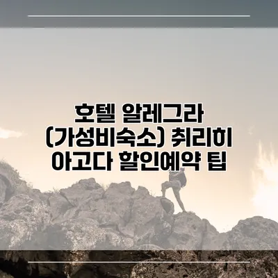 호텔 알레그라 (가성비숙소) 취리히 아고다 할인예약 팁