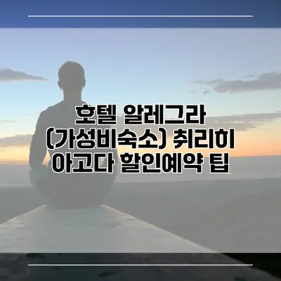 호텔 알레그라 (가성비숙소) 취리히 아고다 할인예약 팁