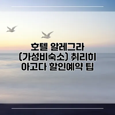 호텔 알레그라 (가성비숙소) 취리히 아고다 할인예약 팁