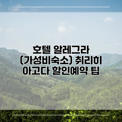 호텔 알레그라 (가성비숙소) 취리히 아고다 할인예약 팁