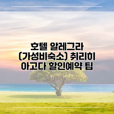호텔 알레그라 (가성비숙소) 취리히 아고다 할인예약 팁
