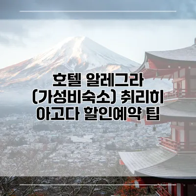 호텔 알레그라 (가성비숙소) 취리히 아고다 할인예약 팁