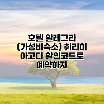 호텔 알레그라 (가성비숙소) 취리히 아고다 할인코드로 예약하자