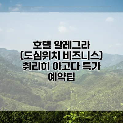 호텔 알레그라 (도심위치 비즈니스) 취리히 아고다 특가 예약팁
