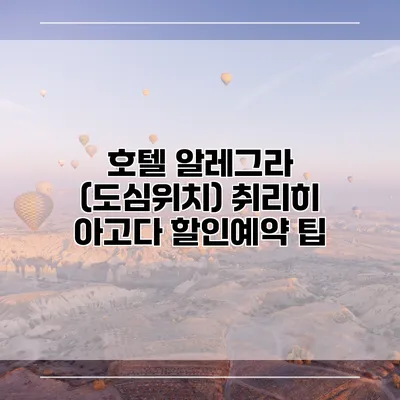 호텔 알레그라 (도심위치) 취리히 아고다 할인예약 팁