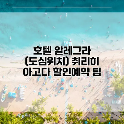 호텔 알레그라 (도심위치) 취리히 아고다 할인예약 팁