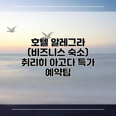 호텔 알레그라 (비즈니스 숙소) 취리히 아고다 특가 예약팁