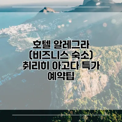 호텔 알레그라 (비즈니스 숙소) 취리히 아고다 특가 예약팁