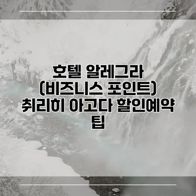 호텔 알레그라 (비즈니스 포인트) 취리히 아고다 할인예약 팁