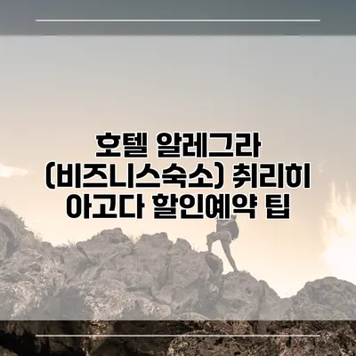 호텔 알레그라 (비즈니스숙소) 취리히 아고다 할인예약 팁