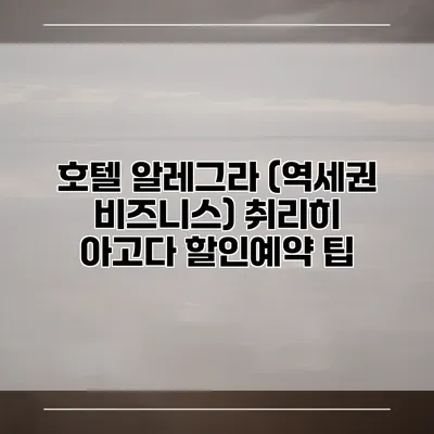 호텔 알레그라 (역세권 비즈니스) 취리히 아고다 할인예약 팁