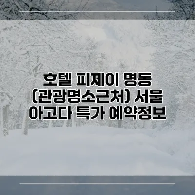호텔 피제이 명동 (관광명소근처) 서울 아고다 특가 예약정보
